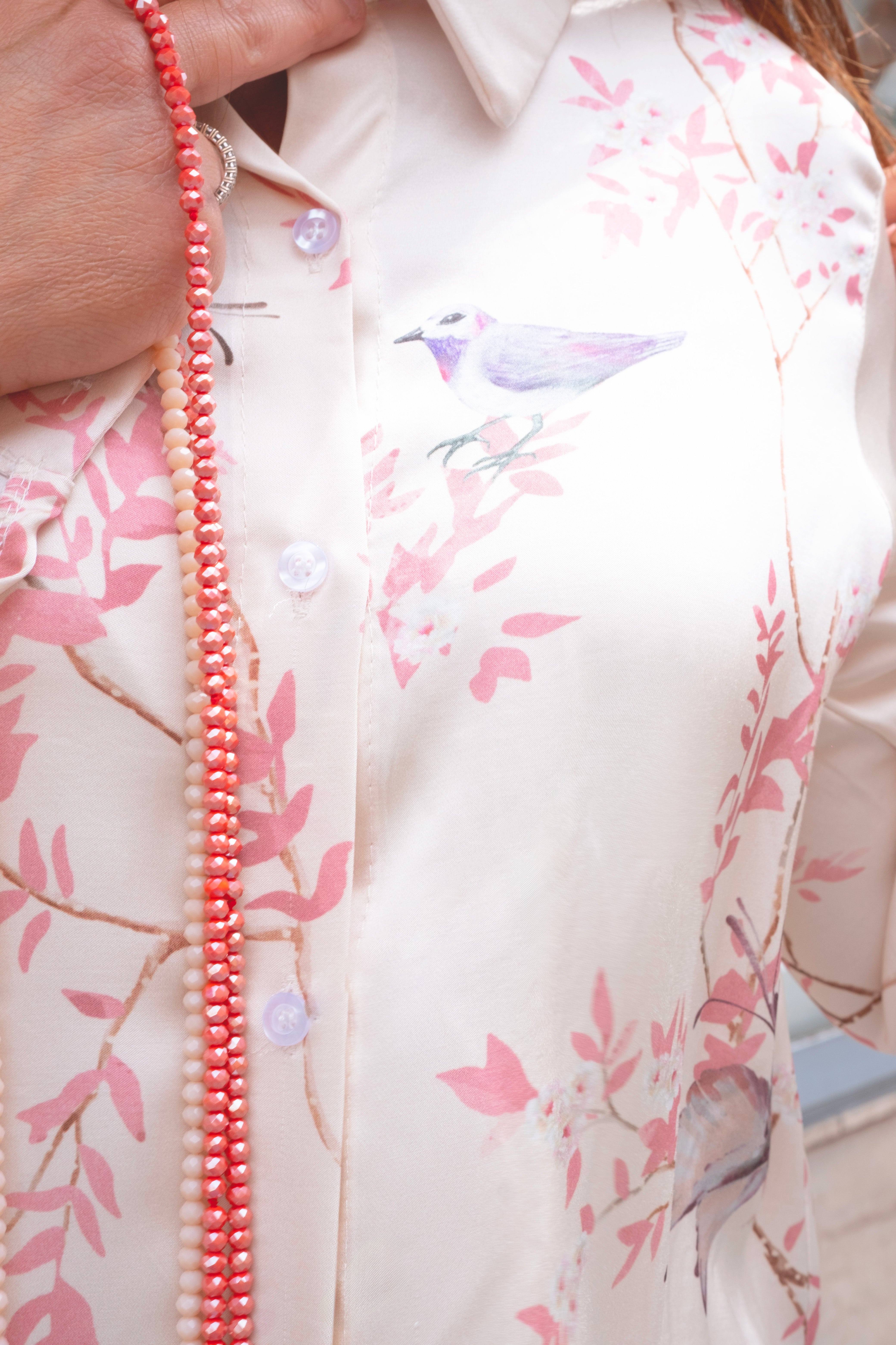 Camicia